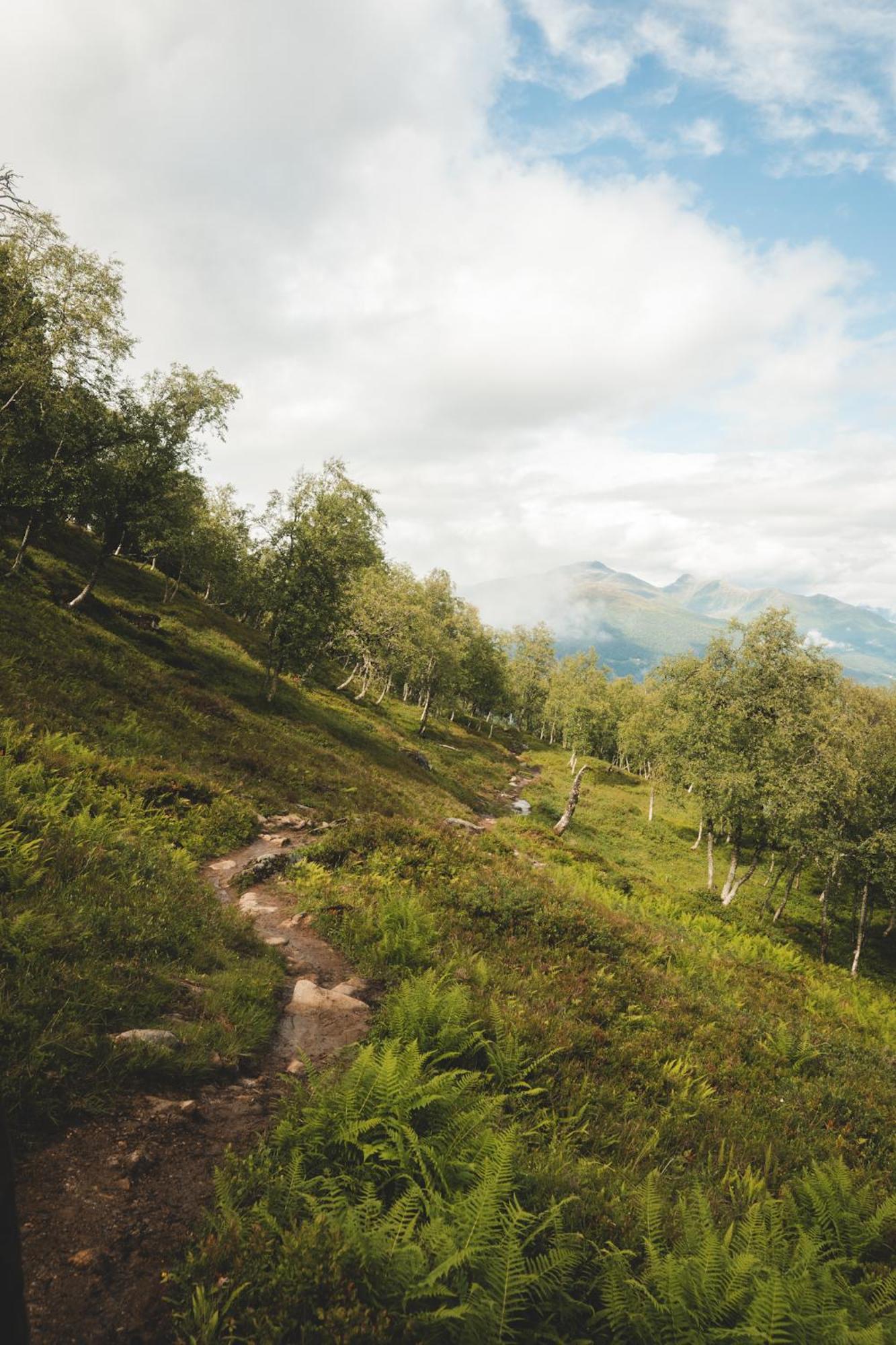 Mountain Views & Comfort - Stay In Stranda